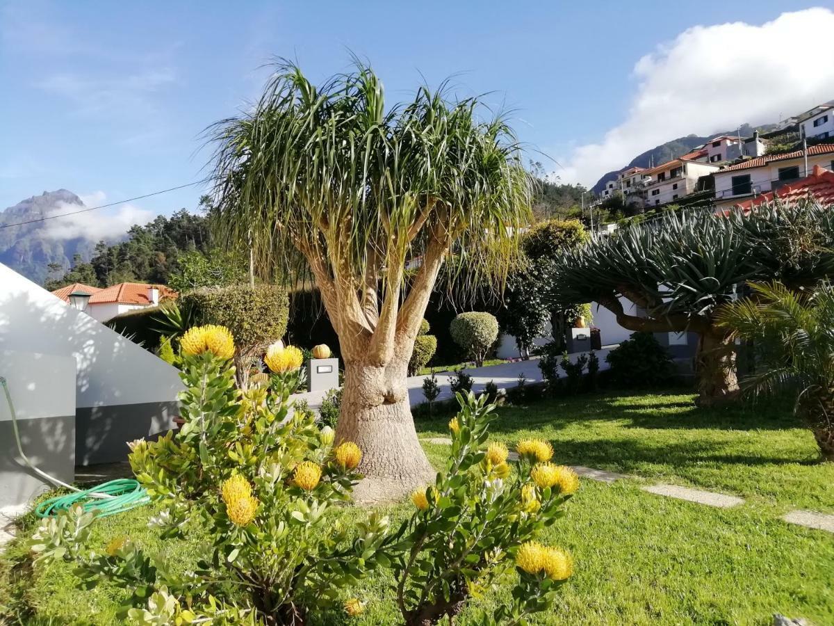 Granny'S Farm Pensionat São Vicente Exteriör bild